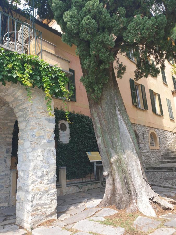 Caffe Del Viaggiatore Valsolda Exterior photo